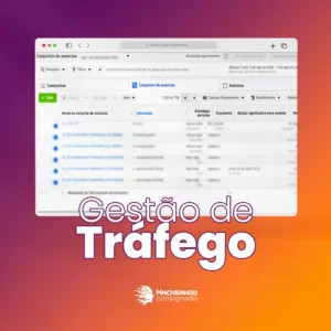 Gestão de Tráfego Pago: Trimestral